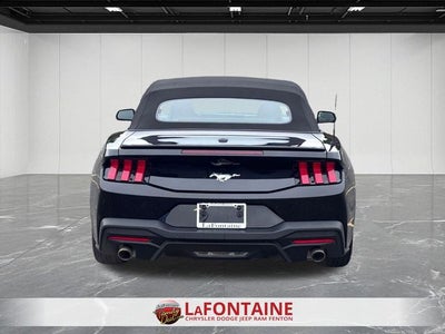 2025 Ford Mustang EcoBoost Convertible