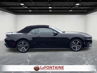 2025 Ford Mustang EcoBoost Convertible