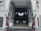 2025 Mercedes-Benz Sprinter 2500 Standard Roof 4-Cyl Diesel HO