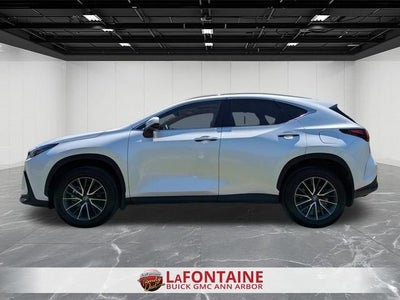 2024 Lexus NX 350 NX 350